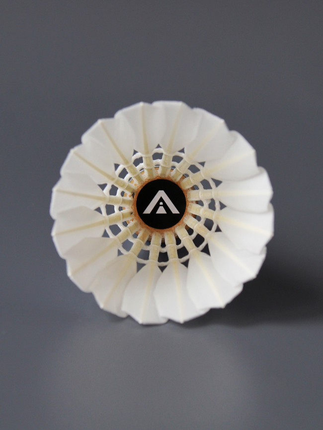 AVICON Black AVICON Black